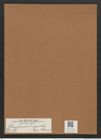 Rhaphoneis ? superba (Jan.) Grun. (de-Toni-Nr.: Genus 78, Species 2840) Zeichnungen Sammlung Grunow Mappe 03008 (Herbarium_W_Grunow_drawings_Folder_03008)